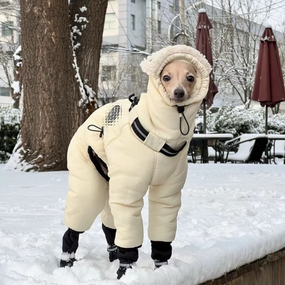 MallowHound Winter Dog Costume